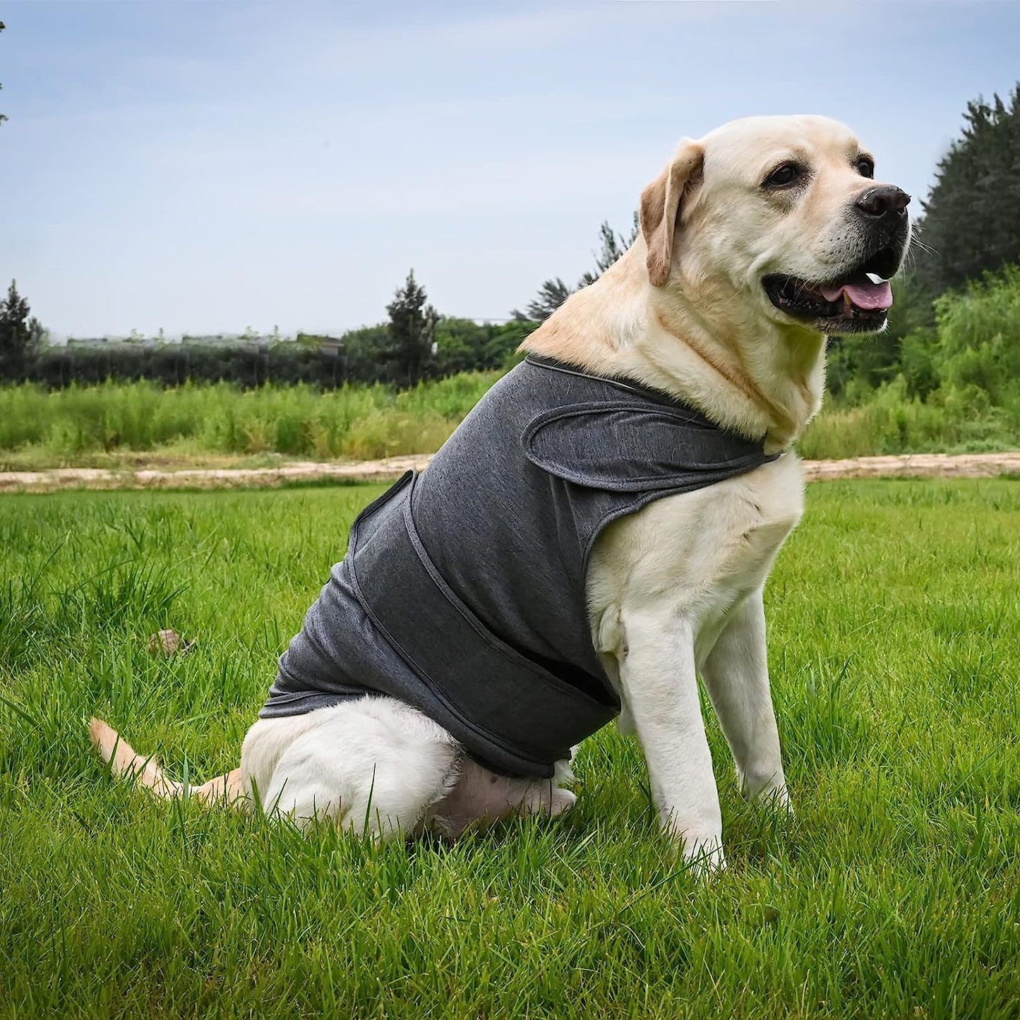 CalmHound Anxiety Vest — Calming Wrap for Dogs