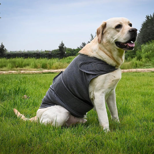 CalmHound Anxiety Vest — Calming Wrap for Dogs
