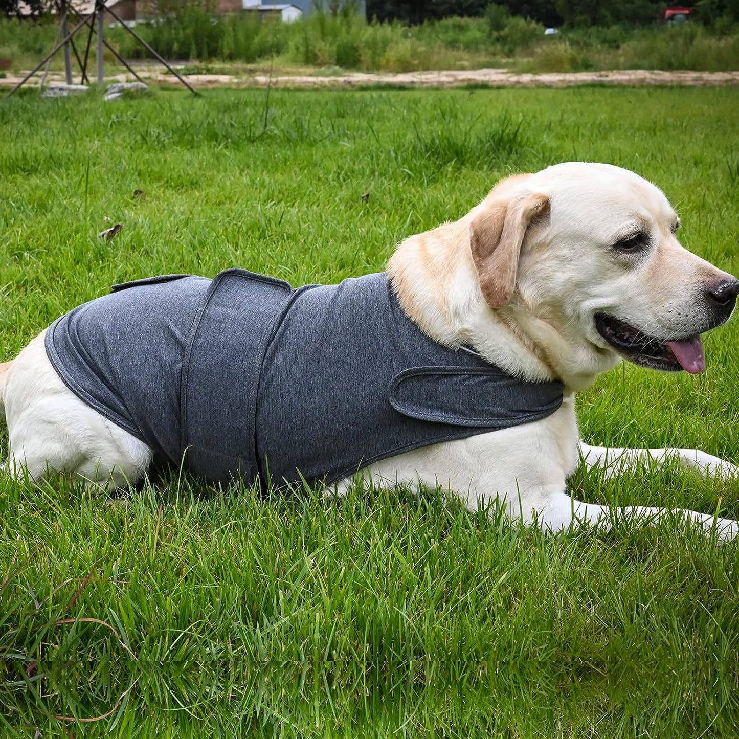 CalmHound Anxiety Vest — Calming Wrap for Dogs
