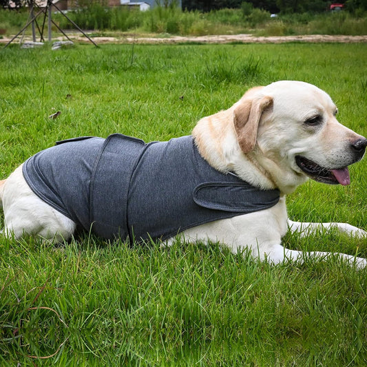 CalmHound Anxiety Vest — Calming Wrap for Dogs